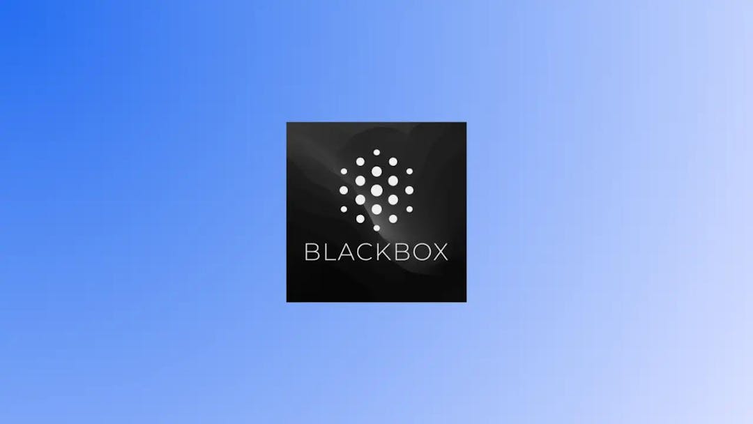 Your AI-Powered Programming Assistant is Here: Blackbox.io